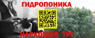 mdpv Заводоуковск