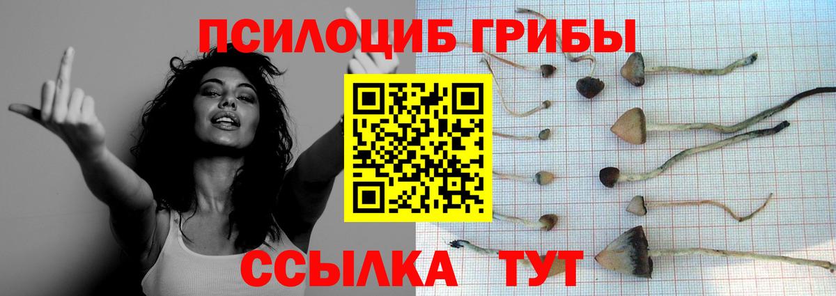 Псилоцибиновые грибы ЛСД Лесосибирск