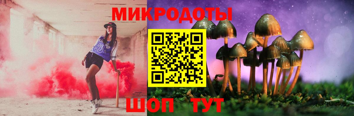 Псилоцибиновые грибы Psilocybine cubensis  Вход с VPN  Галлюциногенные грибы прущие грибы  Лесосибирск 